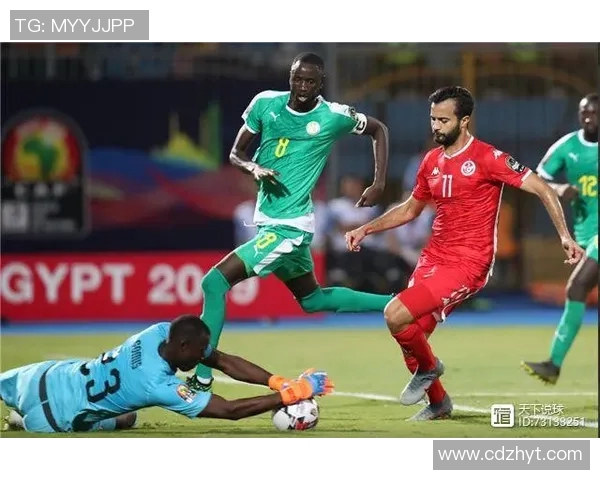 突尼斯与马里足球队球员身价对比分析及市场价值探讨